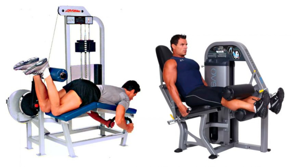 Виды тренажеров в зале