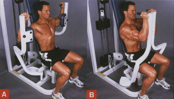 Сведение рук в тренажере бабочка Сведение рук в тренажере бабочка