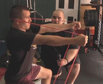 Упражнения для развития мышц шеи Упражнения для развития мышц шеи