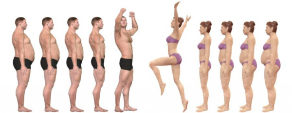 Процент жира в организме: как узнать, фото примеры Процент жира в организме: как узнать, фото примеры