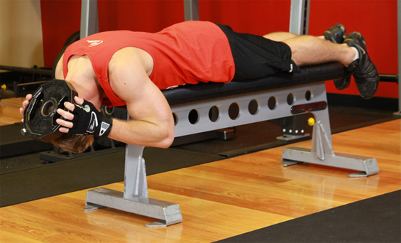 Упражнения для развития мышц шеи Упражнения для развития мышц шеи