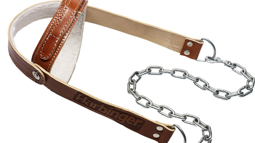 Упражнения для развития мышц шеи Упражнения для развития мышц шеи