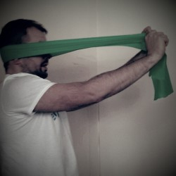 Упражнения для развития мышц шеи Упражнения для развития мышц шеи