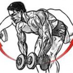 Базовые упражнения для набора мышечной массы Базовые упражнения для набора мышечной массы