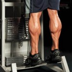 Базовые упражнения для набора мышечной массы Базовые упражнения для набора мышечной массы