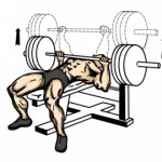 Базовые упражнения для набора мышечной массы Базовые упражнения для набора мышечной массы