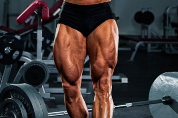 Базовые упражнения для набора мышечной массы Базовые упражнения для набора мышечной массы