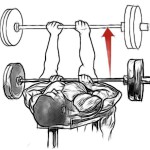 Базовые упражнения для набора мышечной массы Базовые упражнения для набора мышечной массы