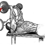 Базовые упражнения для набора мышечной массы Базовые упражнения для набора мышечной массы