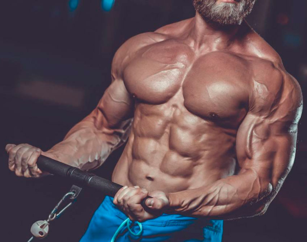 Программа тренировок на рельеф Программа тренировок на рельеф