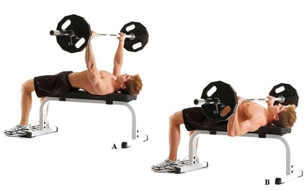 Программа тренировок на рельеф Программа тренировок на рельеф