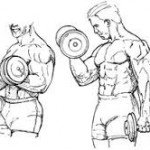 Базовые упражнения для набора мышечной массы Базовые упражнения для набора мышечной массы