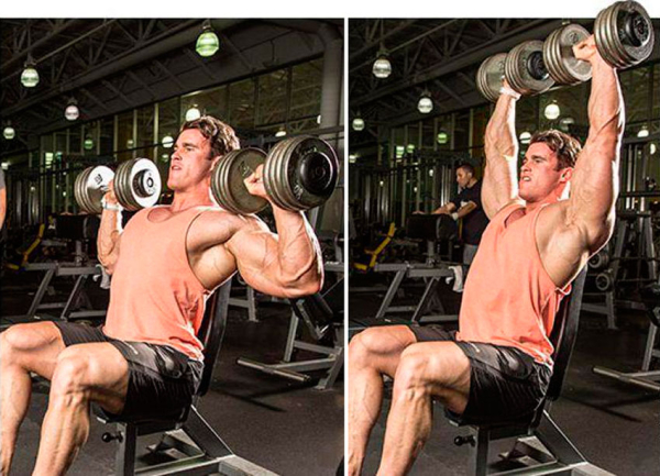 Программа тренировок на рельеф Программа тренировок на рельеф