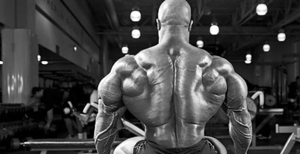 Базовые упражнения для набора мышечной массы Базовые упражнения для набора мышечной массы