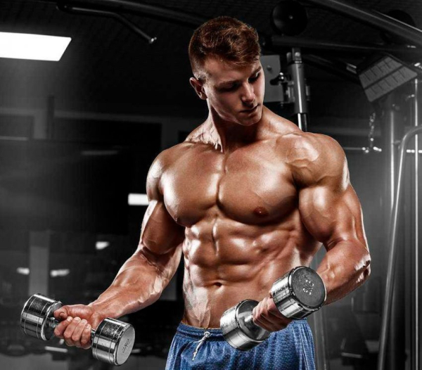 Программа тренировок на рельеф Программа тренировок на рельеф