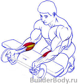 Как накачать предплечья: сила и объем