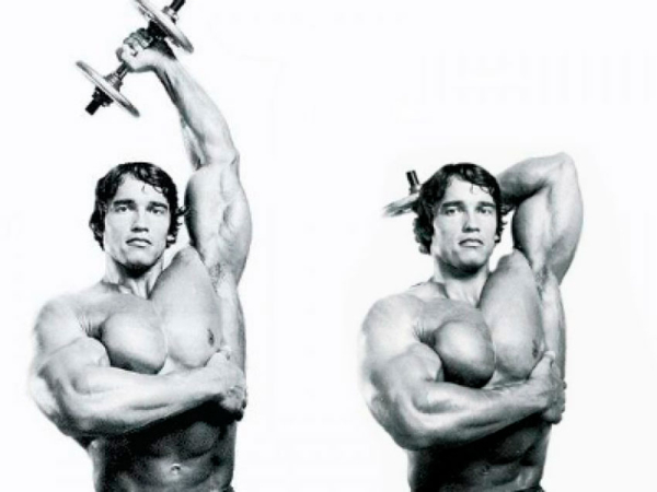 Программа тренировок на рельеф Программа тренировок на рельеф