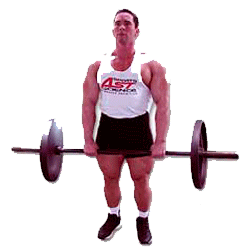 Как накачать предплечья: сила и объем