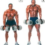 Базовые упражнения для набора мышечной массы Базовые упражнения для набора мышечной массы