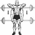 Базовые упражнения для набора мышечной массы Базовые упражнения для набора мышечной массы