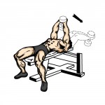 Базовые упражнения для набора мышечной массы Базовые упражнения для набора мышечной массы