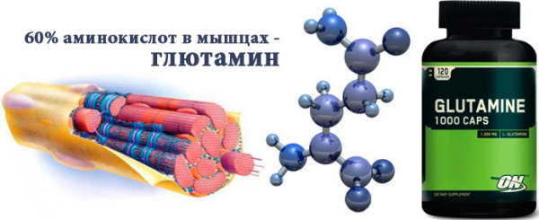 Спортивное питание для начинающих