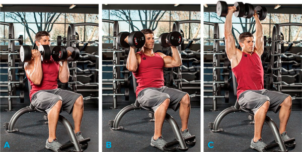 Программа тренировок на рельеф Программа тренировок на рельеф