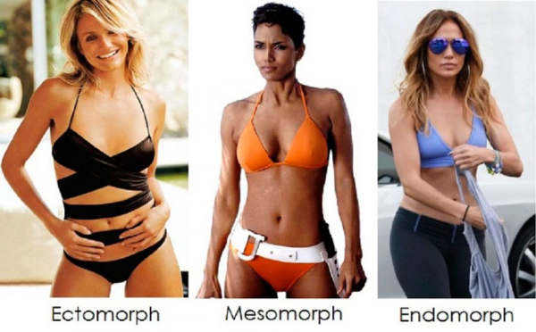 Идеальные пропорции женского тела