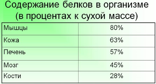 Белковые коктейли для набора мышечной массы. Рецепты, цены, какие купить Белковые коктейли для набора мышечной массы. Рецепты, цены, какие купить