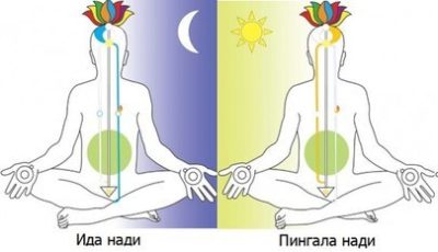 Важное о главных энергетических каналах или Нади: Сушумна, Ида и Пингала Важное о главных энергетических каналах или Нади: Сушумна, Ида и Пингала