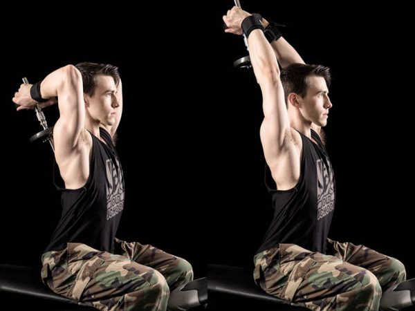 Французский жим с гантелей стоя или сидя