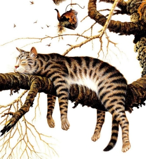 Лучший предтренировочный комплекс Лучший предтренировочный комплекс