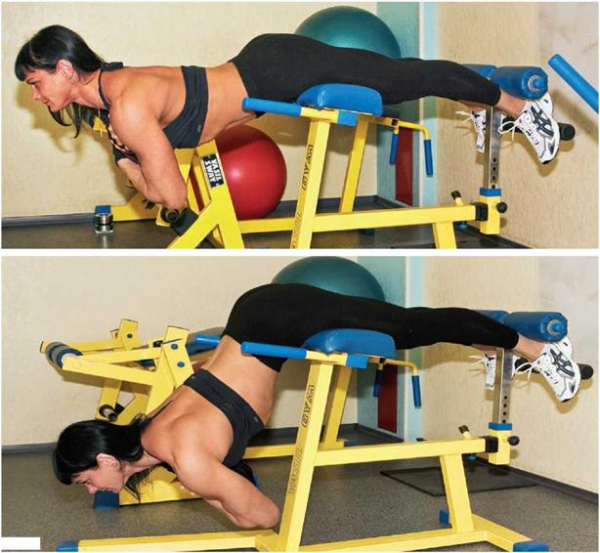 Набор мышечной массы для девушек Набор мышечной массы для девушек