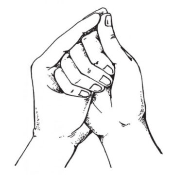 Шанкха-мудра: для чего и как выполнять? Шанкха-мудра: для чего и как выполнять?