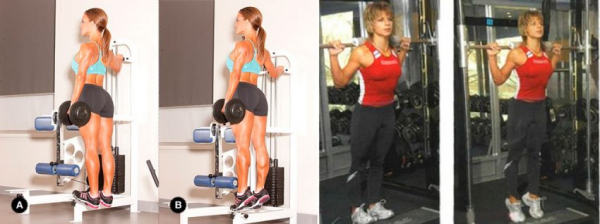 Набор мышечной массы для девушек Набор мышечной массы для девушек