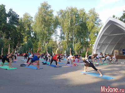 Йога для начинающих: скрутки из положения «стоя»