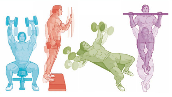 Секретная тренировка Арнольда Шварценеггера: 4 шага к «Мистеру Олимпия» Секретная тренировка Арнольда Шварценеггера: 4 шага к «Мистеру Олимпия»