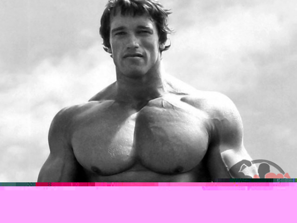 Арнольд Шварценеггер – Рост, вес, бицепс, грудь, жим, антропометрия и силовые показатели