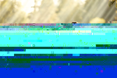 Начните день с утренних медитаций: эффективные и простые практики для женщин