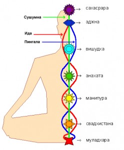 Какими энергетическими каналами и центрами пронизан человек? Какими энергетическими каналами и центрами пронизан человек?