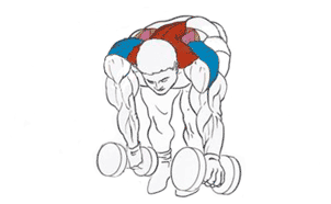 Эффективные упражнения для плеч Эффективные упражнения для плеч