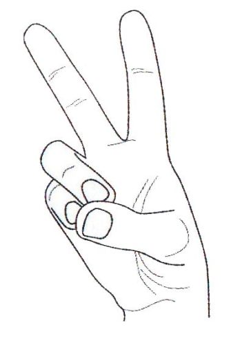 Какие мудры выполнять для повышения иммунитета? Какие мудры выполнять для повышения иммунитета?