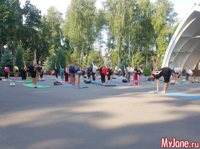 Йога для начинающих: скрутки из положения «стоя»