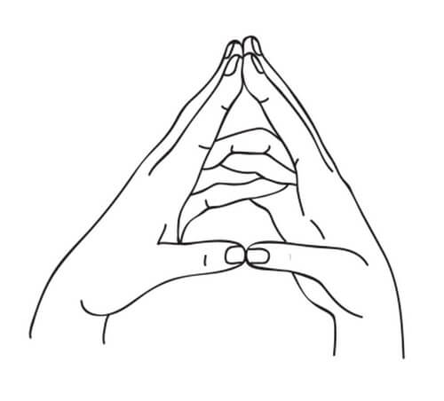 Какие делать мудры для желудка и пищеварения? Какие делать мудры для желудка и пищеварения?