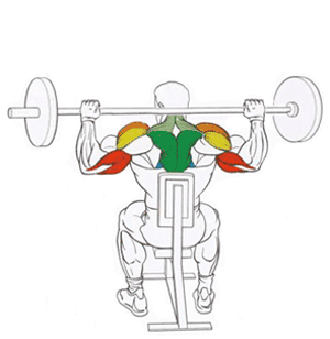 Эффективные упражнения для плеч Эффективные упражнения для плеч