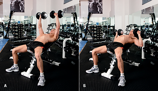 Тренировки с цепями: как сделать все правильно и не навредить себе Тренировки с цепями: как сделать все правильно и не навредить себе