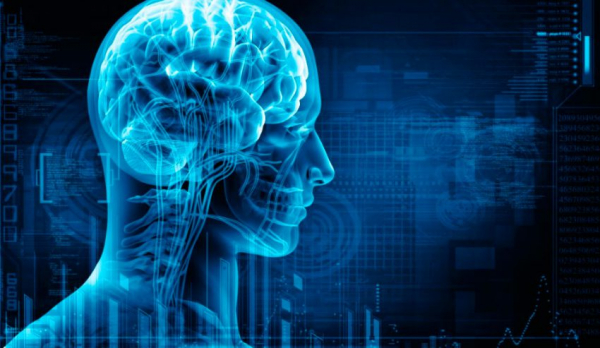 Таблетки для улучшения мозговой деятельности и памяти Таблетки для улучшения мозговой деятельности и памяти