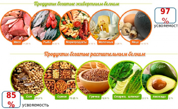 Белковые коктейли для набора мышечной массы. Рецепты, цены, какие купить Белковые коктейли для набора мышечной массы. Рецепты, цены, какие купить