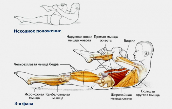 Упражнения пилатеса в домашних условиях. Видео-уроки для начинающих