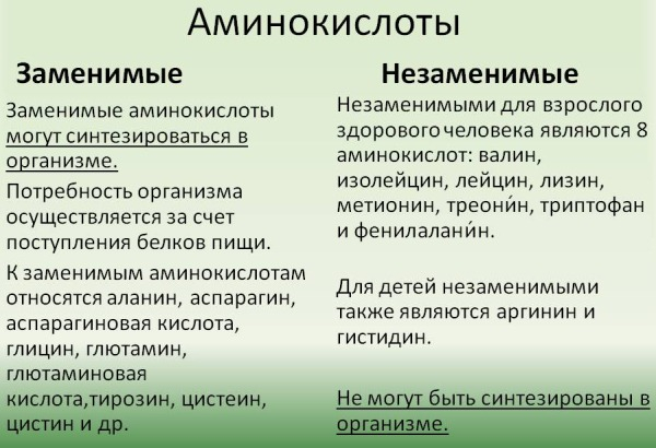 Белковые коктейли для набора мышечной массы. Рецепты, цены, какие купить Белковые коктейли для набора мышечной массы. Рецепты, цены, какие купить